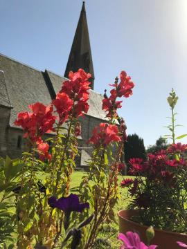 red flowers with the church spire behind