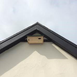 Swift box attached to the eaves of the church hall